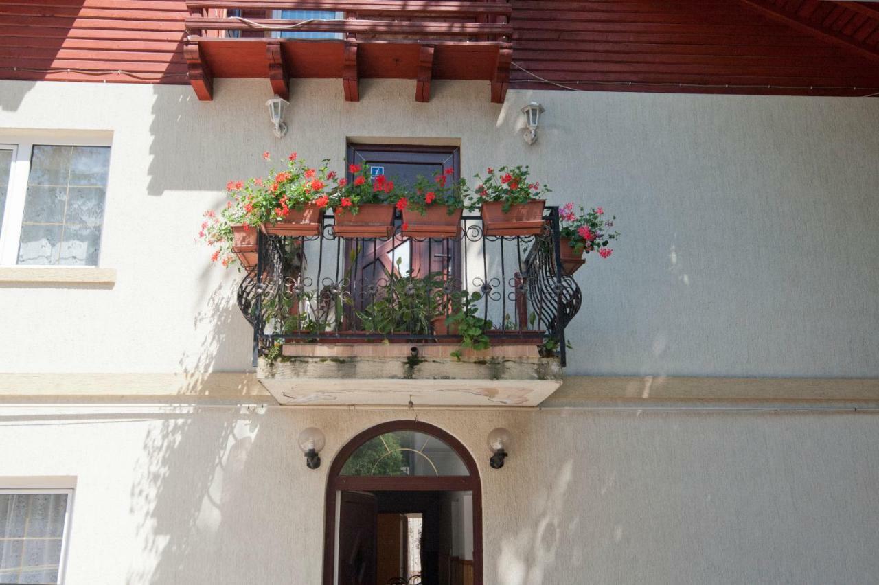 Casa Tudor Hotel Sinaia Buitenkant foto